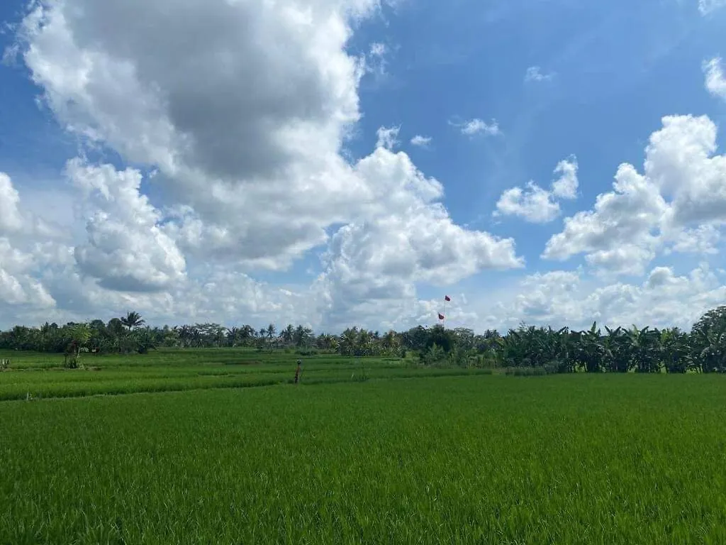 Semesterbostad 3Br Villa With Pool & View - Walkable To Center Ubud Indonesien